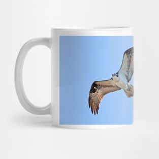 With eyes open - Osprey Mug